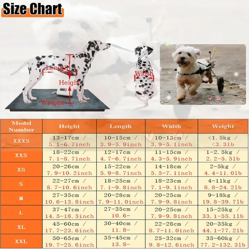 Vista 3 de Silla de ruedas para perros con patas traseras discapacitadas, silla de ruedas ajustable y de apoyo para patas traseras, cómodas sillas de ruedas