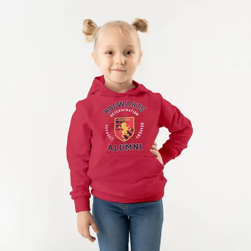 Vista 4 de Harry Potter Hogwarts School of Witchcraft and Wizardry House Crest - Sudadera con capucha para jóvenes