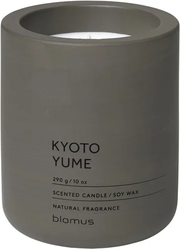Vista 16 de Blomus Fraga Vela perfumada Withered Rose S, vela de cera de soja en aspecto concreto Rosa marchita