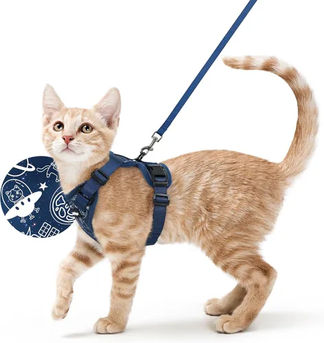 Vista 35 de rabbitgoo Cat Harness and Leash Set, Escape Proof Vest, Berry Pounce Soft Breathable Mesh, Easy Adjustable Fit, Snap Buckles, Sturdy Clip
