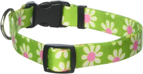 Vista 12 de Collar de perro Green Daisy - Tamaño gato de 8 a 12 pulgadas de largo Verde (Green Daisy)