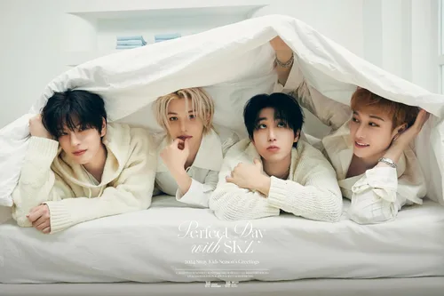 Vista 9 de [Seguimiento acelerado] Stray Kids 2024 Season's Greetings Día perfecto con paquete SKZ+Calendario de escritorio+Diario+Folleto+Tarjeta fotográfica