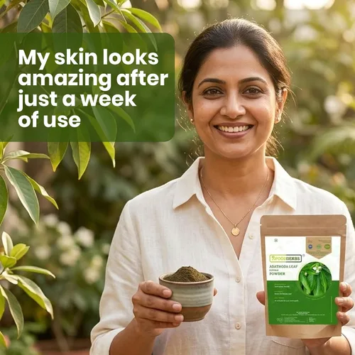Vista 4 de Foodherbs Adathoda Powder (Adhatoda Vasica/Adulsa), 200g (0.44 lb) Polvo de hojas de hierbas 100% puro Sin aditivos ni conservantes Polvo