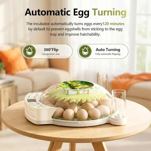 Vista 12 de Incubadora inteligente de 22 huevos, eclosión con un solo clic, control automático de humedad de temperatura, girador automático de huevos, vela
