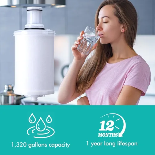 Vista 4 de 2 Pack 100186 Replacement Filter Cartridge Compatible with Amway espring Water Filter System, High-Precision Filter element, Retains Beneficial