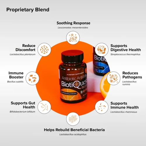 Vista 3 de BiotiQuest Probióticos antibióticos antibióticos para reequilibrar el cuerpo después de tomar antibióticos, 20 mil millones de UFC, sin OMG y sin