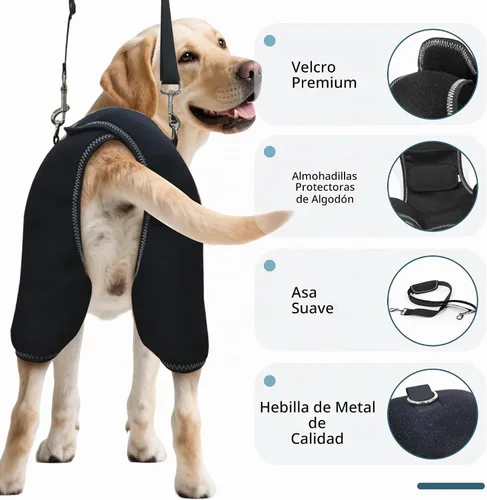 Vista 5 de Soporte de cadera para perro para displasia de cadera, soporte de cadera ajustable para perro con correa de elevación, alivio del dolor cálido