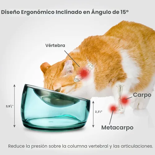 Vista 5 de Felli Oblik Cuencos Elevados para Comida de Gatos de Acero Inoxidable 304, Plato Plano Desmontable para Fatiga de Bigotes y Fácil Limpieza en Clásico