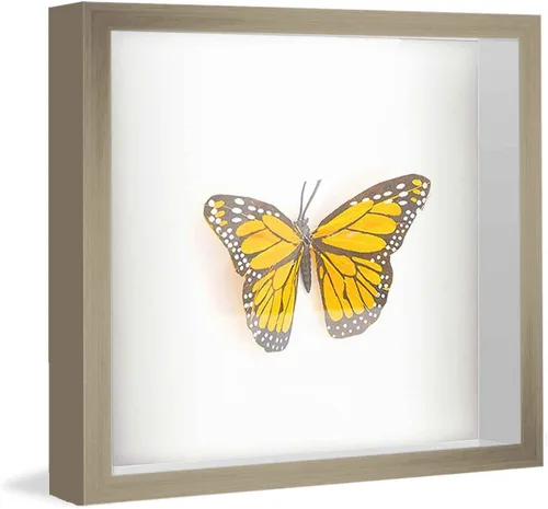 Vista 6 de CustomPictureFrames Marco de caja rústica de 5 x 5 pulgadas, madera maciza, acrílico UV, respaldo de tablero de espuma y accesorios para colgar