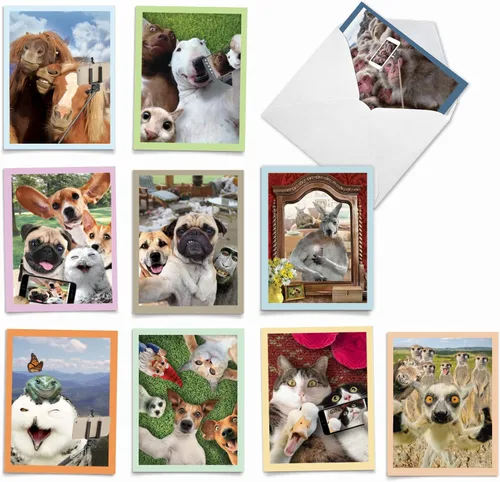 Vista 6 de The Best Card Company - 10 tarjetas divertidas de agradecimiento para perros (4 x 5.12 pulgadas) - Papelería de gratitud en caja para todas