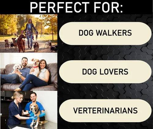 Vista 2 de 3D Learning LLF Juego de pósteres de razas de perros – 58 razas caninas para amantes de los perros, veterinarios, caminantes – Arte de pared