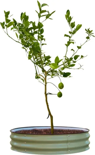 Vista 6 de Vego garden Bolsa de riego para árbol/anillo de 16 galones, bolsa de riego de PVC extremadamente resistente para árboles y arbustos, sistema