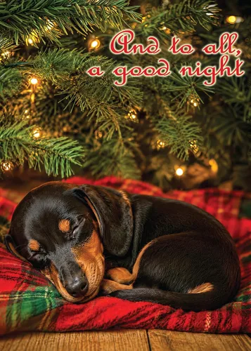 Vista 31 de Glory To Dog And To All A Good Night Sleepy Beagle Puppy - Juego de 12 tarjetas y sobres de Navidad