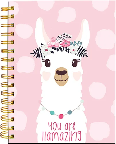 Vista 13 de Cuaderno de espiral iampanda, encuadernación fuerte de doble alambre con papel premium para mujeres, 60 hojas A5, cuaderno/diario rayado