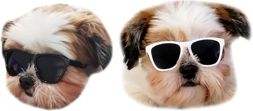 Vista 9 de G014 Dog Cat Pet - Gafas de sol de los años 80 para razas pequeñas de hasta 15 libras (paquete de 2 unidades, negro + espejo negro-azul)