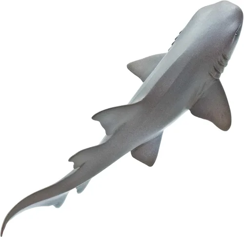 Vista 6 de Safari Ltd. Figura de tiburón enfermera – Figura de modelo realista de 5.5 pulgadas – Juguete educativo para niños, niñas y niños a partir de 3 años