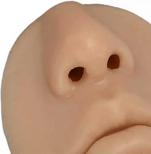 Vista 8 de Modelo de silicona para nariz, modelo de entrenamiento de piercing, modelo de oreja de silicona para principiantes, modelo de nariz y boca 3D