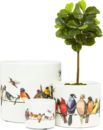 Vista 3 de Abbott Collection 27-PARADE/085 - Maceta LG, 1 EA, pájaros con alambre, grande