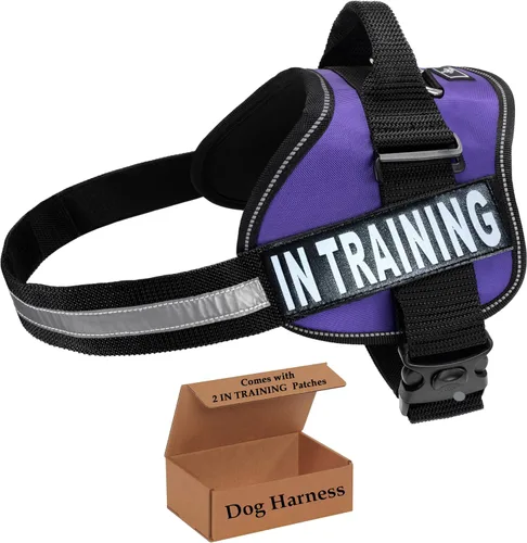 Vista 11 de Chaleco de entrenamiento para perros de servicio, arnés ajustable sin tirones con parches. Chaleco de entrenamiento para perros de servicio