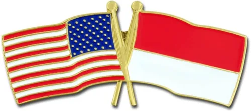 Vista 3 de PinMart Pin de solapa esmaltado con bandera de la amistad cruzada de Estados Unidos y el mundo