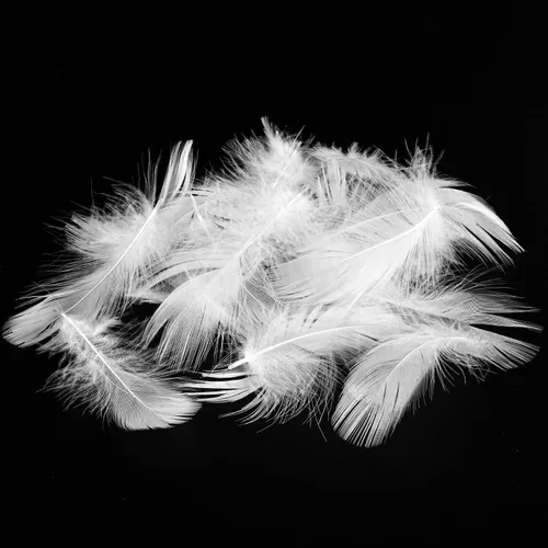 Vista 4 de Gran cantidad de plumas rosas, plumas de pato y de ganso blancas, relleno de plumas para almohada, ropa de cama, bricolaje, estándar de EE. UU.