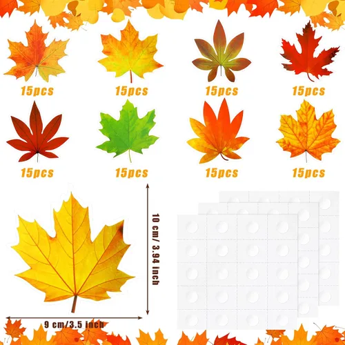 Vista 4 de Ferraycle - 135 piezas de decoración de tablón de anuncios de otoño