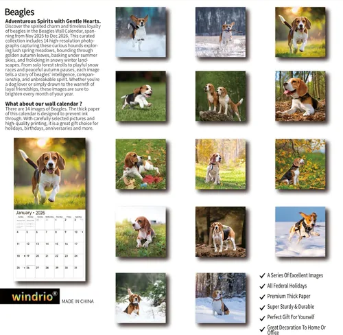 Vista 2 de Calendario de Pared 2026, Calendario 2026, noviembre de 2025 a diciembre de 2026, Calendario de Pared Beagles, 12" x 24" abierto, página completa