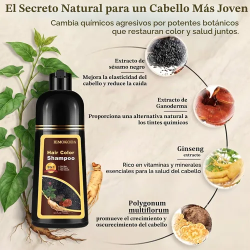 Vista 5 de Champú de tinte para el cabello 3 en 1, cobertura de canas durante 3 a 4 semanas, champú para colorear negro para todo tipo de cabello, fórmula