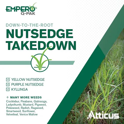 Vista 3 de Atticus Empero Q-Pak Nutsedge Killer (0.35 onzas) herbicida de césped – Mata el césped de nueces en céspedes establecidos, césped ornamental y áreas