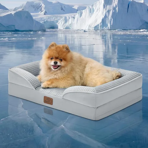 Vista 53 de Bedsure - Cama para gatos de interior, sofá cama lavable para perros muy pequeños, espuma de soporte con funda extraíble y lavable, forro Gris
