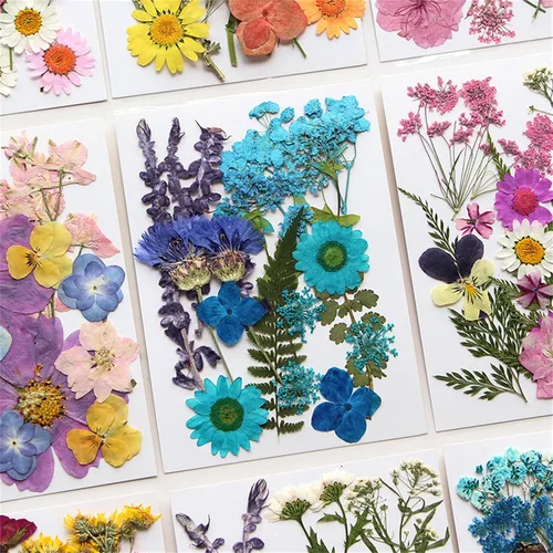 Vista 6 de Natural Pressed Dried Flower for Epoxy Resin Dry Flowers and Leaves Set for Soap Jewelry Making Scrapbooking Phone Case Decoration Section B