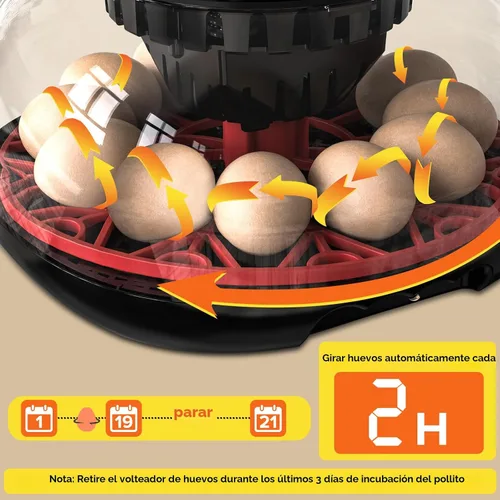 Vista 4 de Incubadora con giro automático de huevos y control de humedad, incubadoras para huevos de eclosión, pollo, patos, ganso, paloma, codorniz, loro