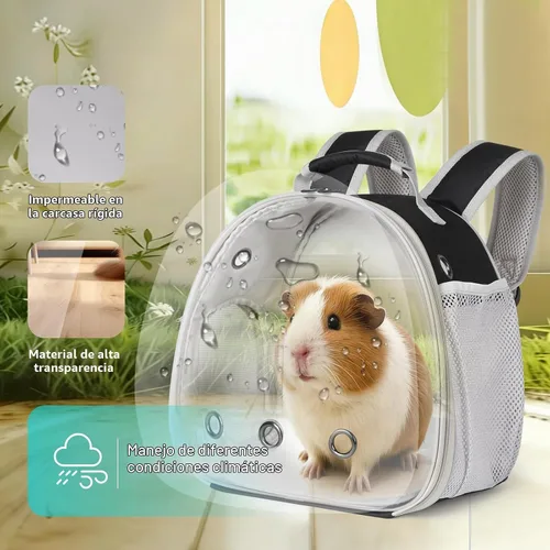 Vista 3 de Mochila de conejillo de indias, burbuja de cápsula espacial con ventana para animales pequeños, mochila para conejillo de indias, pájaro, conejito