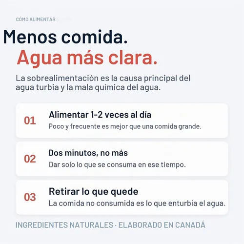Vista 7 de Northfin Community Fish Food, pellets de hundimiento lento, 0.02 in, 3.53