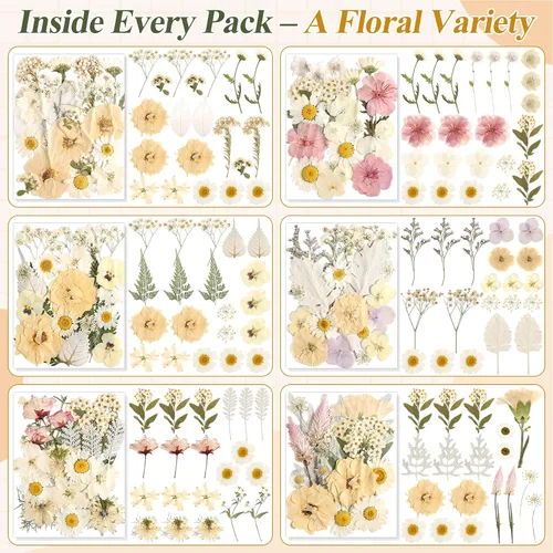 Vista 3 de 120 piezas de flores secas prensadas secas florales para decoración de Flores prensadas boho