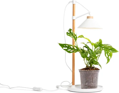 Vista 6 de rePotme Tierra para macetas multiusos para plantas de interior y exterior, orgánica y fabricada en los Estados Unidos, plantas de interior y mezcla