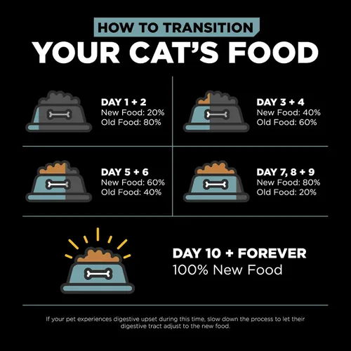 Vista 11 de Go! Solutions Digestión + salud intestinal, comida seca para gatos, receta de pollo con granos antiguos, bolsa de 3 libras Fiber-Rich Kibble for