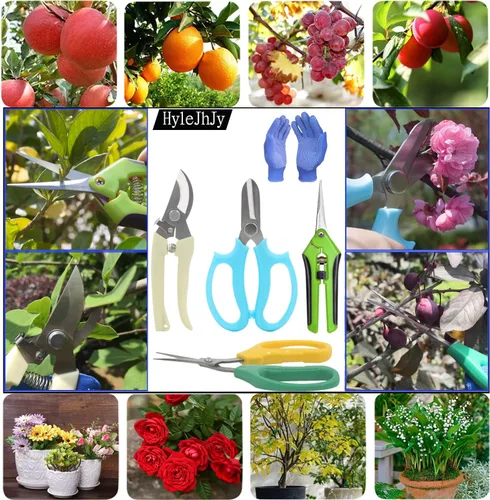 Vista 6 de Tijeras de podar de jardín, tijeras de jardín, tijeras de hierbas, tijeras de floristería, tijeras florales, tijeras de bonsái, podadora de mano