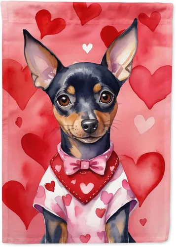 Vista 88 de Caroline's Treasures DAC5252GF Affenpinscher - Bandera de jardín con texto en inglés "My Valentine", bandera decorativa para patio exterior, patio