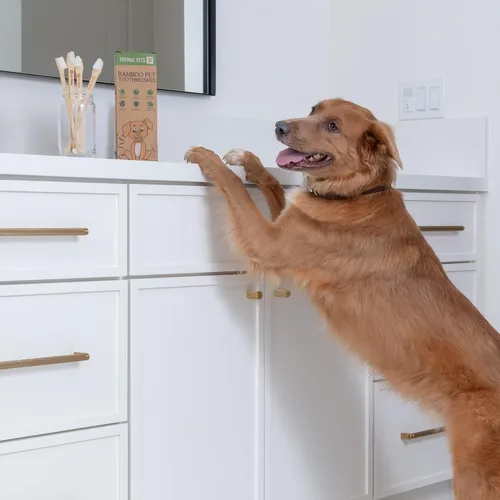 Vista 7 de Cepillo de dientes para perros y gatos, bambú de dos caras