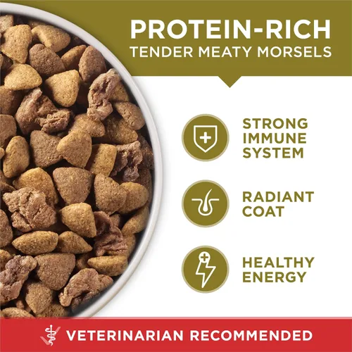 Vista 8 de Purina ONE Alimento seco natural para perros, fórmula SmartBlend de cordero y arroz, 16.5 libras Bolsa