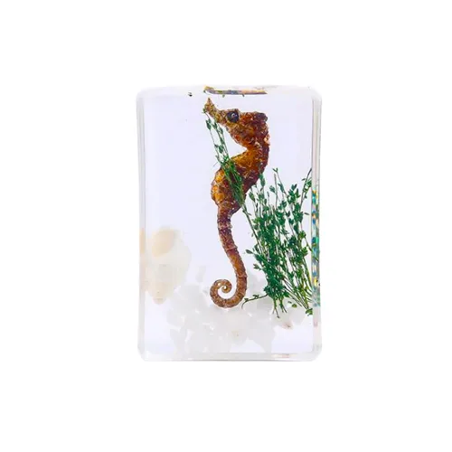 Vista 6 de Espécimen de resina Colección de insectos Pisapapeles Espécimen animal para educación científica 6 estilos insectos