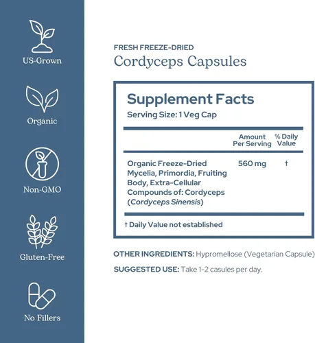 Vista 2 de Eclectic Herb - Cápsulas Cordyceps Apoyo inmunológico Suplemento de hongos para resistencia y energía Cultivado en Estados Unidos, orgánico