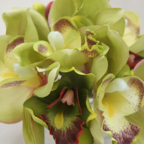 Vista 5 de Paquete de 7 tallos de orquídea Cymbidium de flores artificiales (verde)
