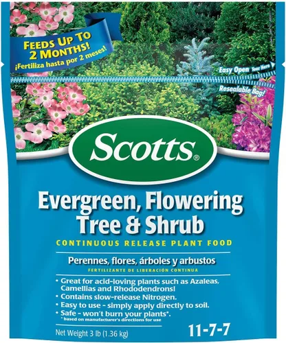 Vista 12 de Scotts Árbol de hoja perenne, árbol y arbusto en flor Alimento vegetal