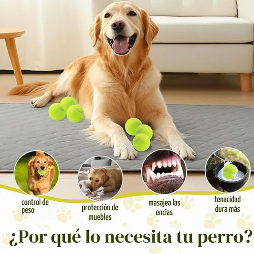 Vista 6 de Swingers Pelotas de tenis chirriantes para perro, pelotas de tenis de Varios
