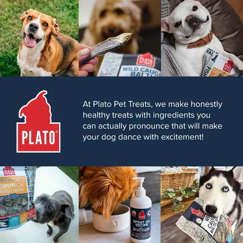 Vista 7 de Plato Pet Treats Golosinas de pescado para perros, espadín báltico
