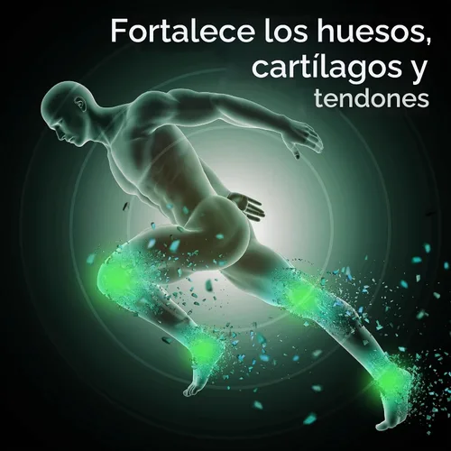Vista 5 de Suplemento para la salud de las articulaciones de rayos X, 50 unidades, paquete de 3 Glucosamina 1500 mg, condroitina 300 mg, MSM, apoya