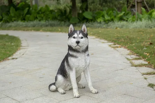Vista 7 de HI-LINE Gift Ltd. - Husky siberiano grande en blanco y negro sentado