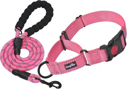 Vista 8 de haapaw Martingale - Collar de perro con hebilla de liberación rápida reflectante para perros pequeños, medianos y grandes